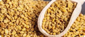 Spoon overflowing with fenugreek seeds, testosterone supporter included in Manboa male enhancement capsules.