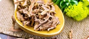 Spoon of dried tongkat ali roots with yellow flowers, key herb in Manboa for male performance and drive.